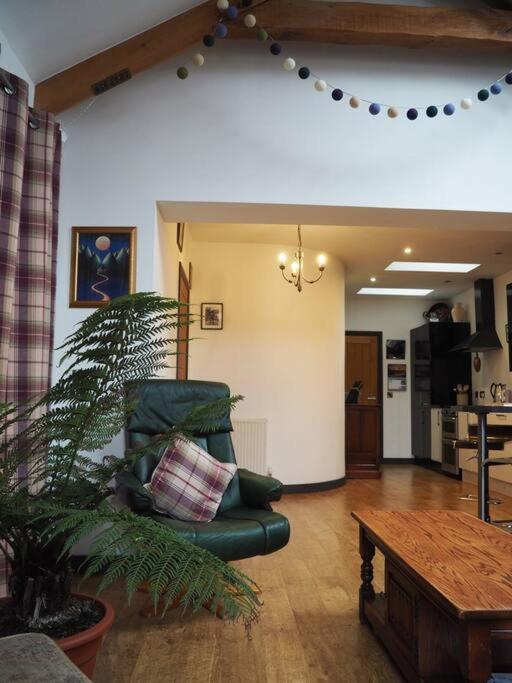 Fern Angus, Kirriemuir * Angus